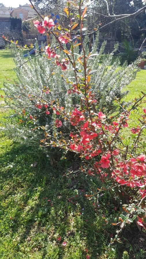 Vallon-Pont-dʼArc Chambre L'Orchidee מראה חיצוני תמונה