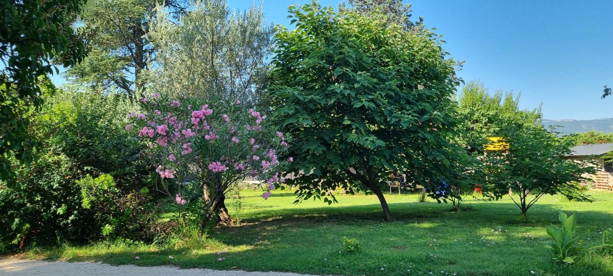 Vallon-Pont-dʼArc Chambre L'Orchidee מראה חיצוני תמונה