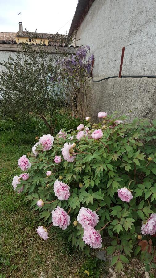 Vallon-Pont-dʼArc Chambre L'Orchidee מראה חיצוני תמונה